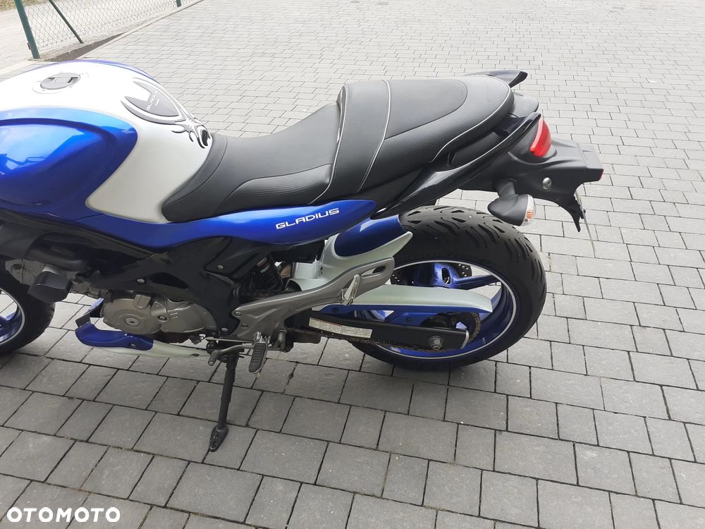 Suzuki Gladius - 18