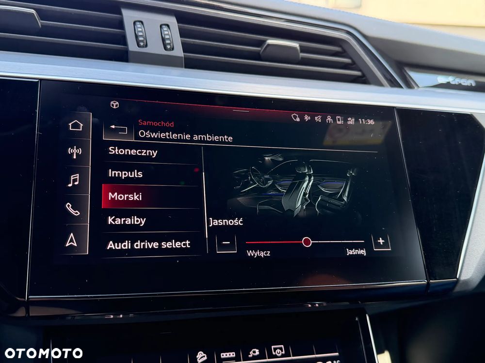 Audi e-tron - 39
