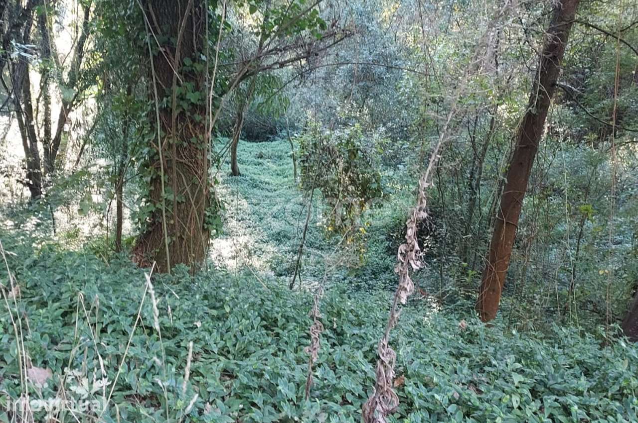 Terreno Rustico com 1490m2, em Gondomar, Porto - Grande imagem: 5/15