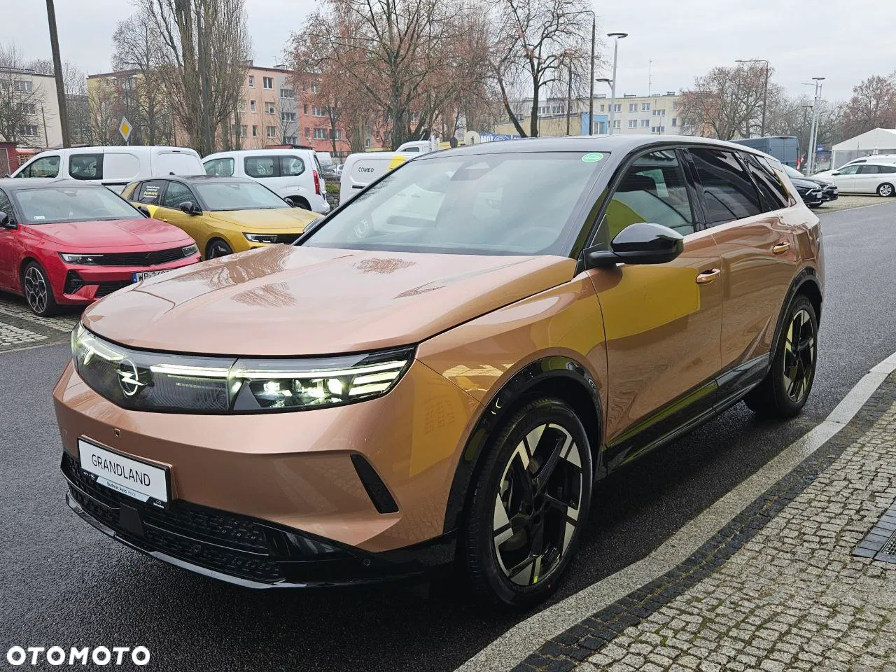 Opel Grandland Electric 73kWh Standard Range GS - 5