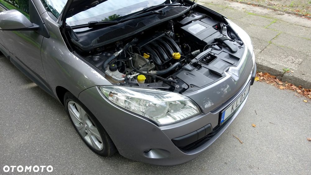 Renault Megane - 38