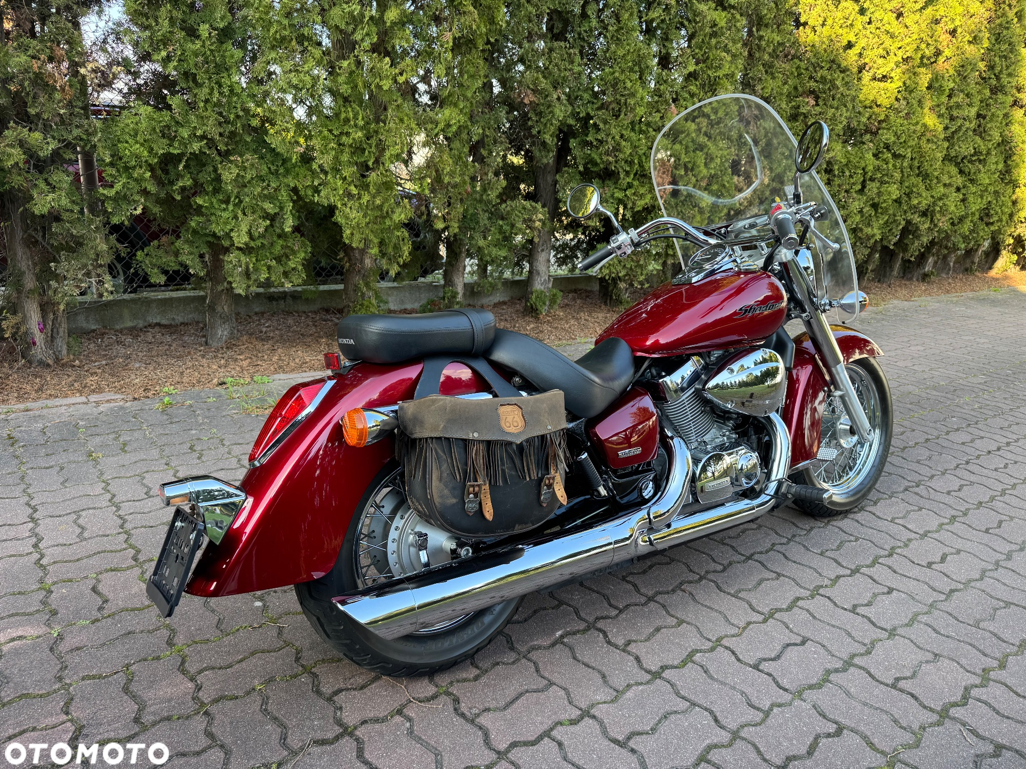 Honda Shadow - 4