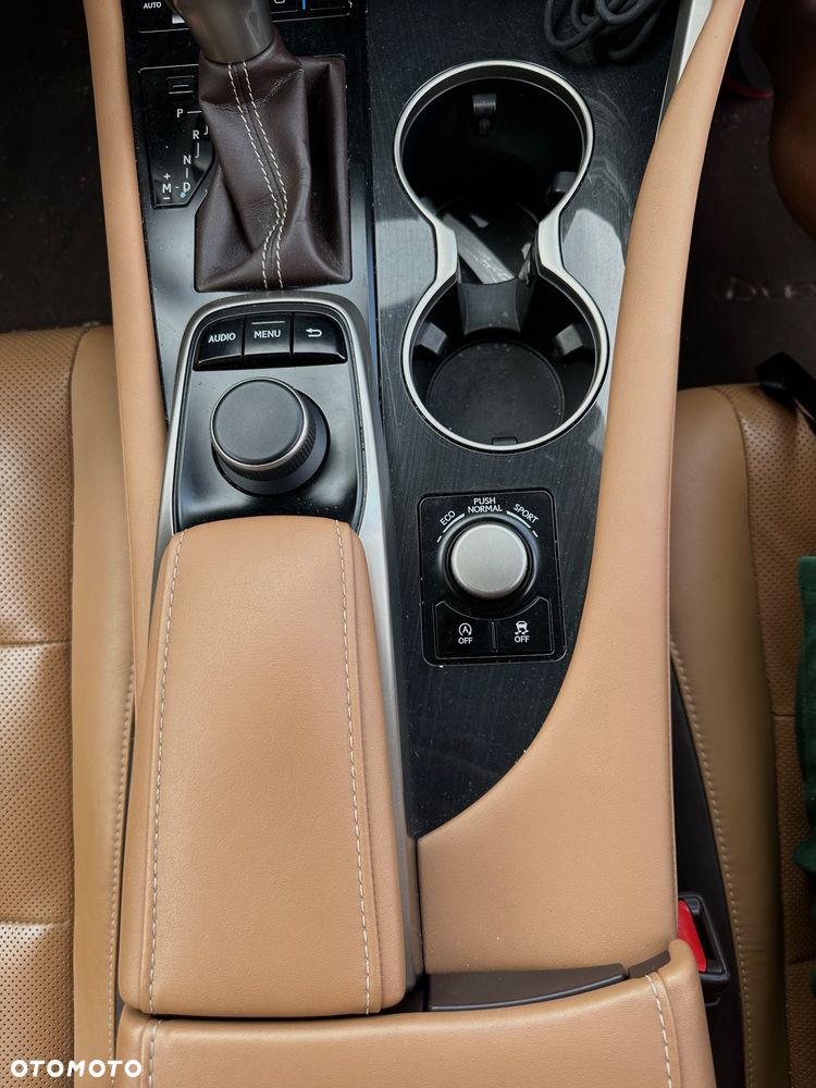 Lexus RX 200t / 300 Elegance - 19