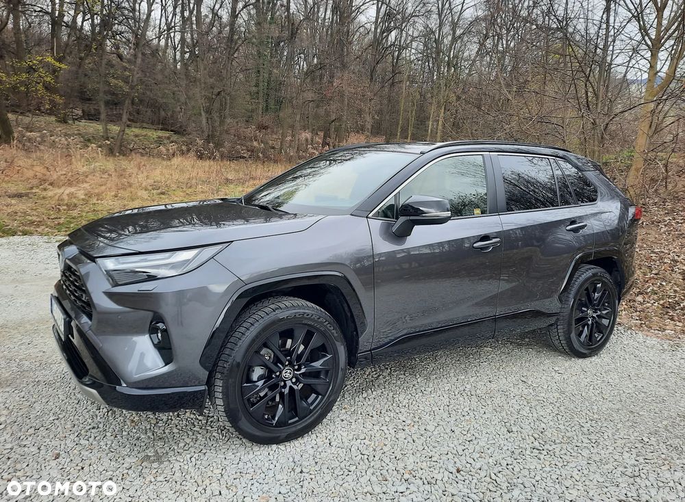 Toyota RAV4 2.5 Hybrid Selection 4x2 - 7