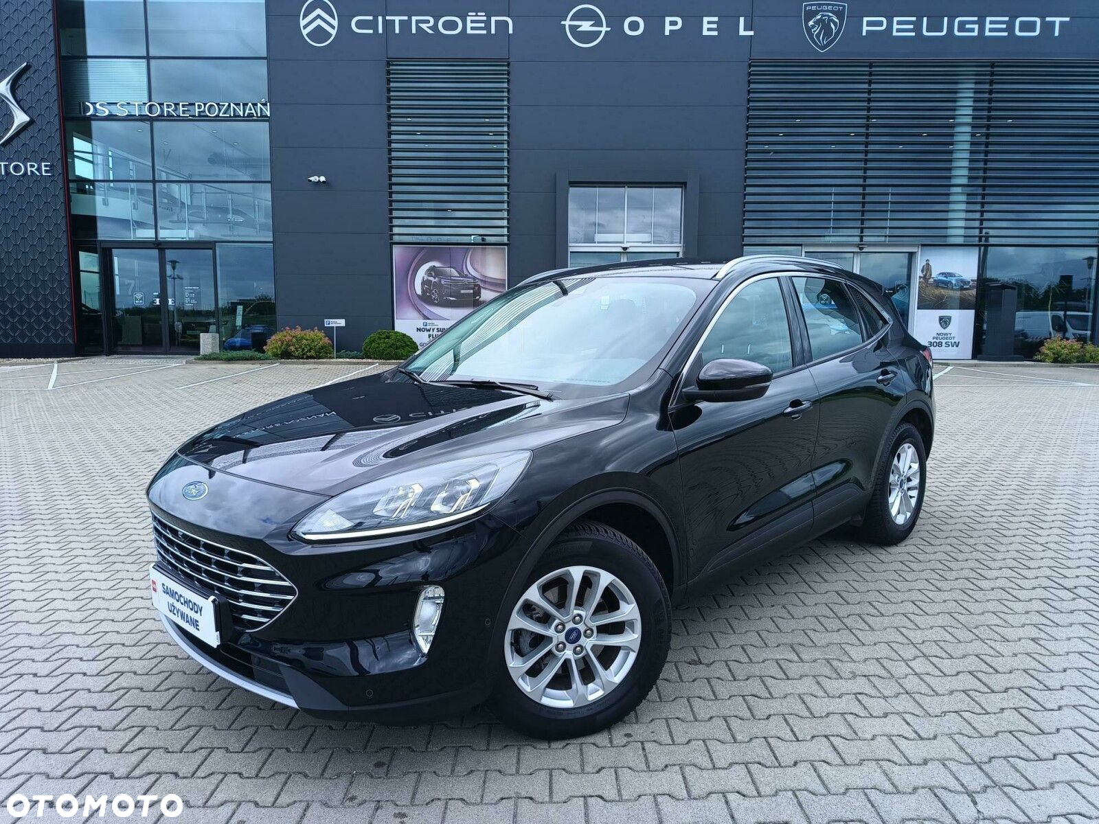 Ford Kuga 1.5 EcoBoost FWD Titanium - 2