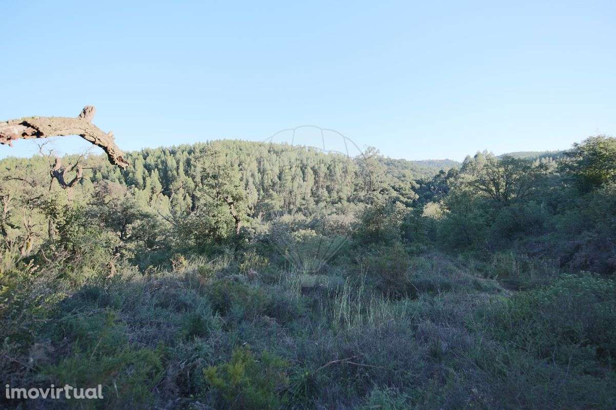 Terreno  para venda - Grande imagem: 2/4