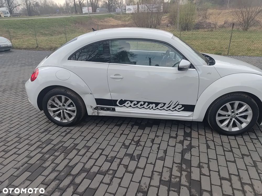 Volkswagen Beetle - 23