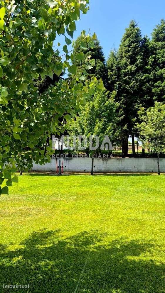 Lote de Terreno Urbano para construção – Valongo do Vouga (Águeda) - Grande imagem: 5/8