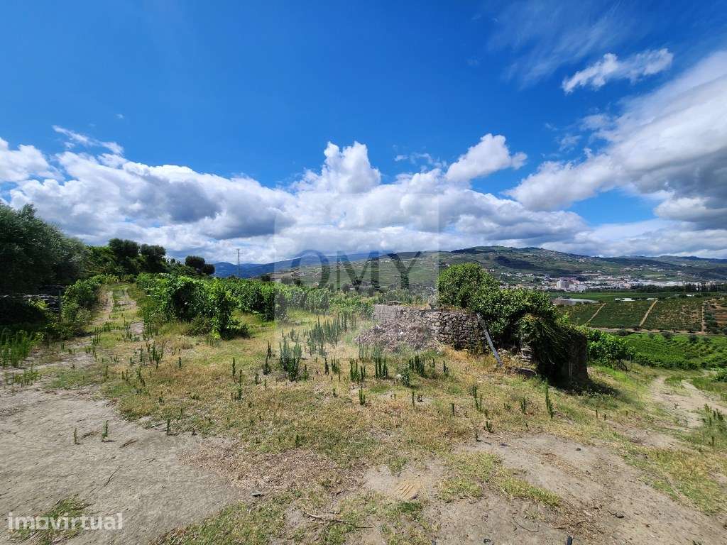 Terreno Vinícola com PIP em Apreciação para Boutique Hotel - Grande imagem: 4/18