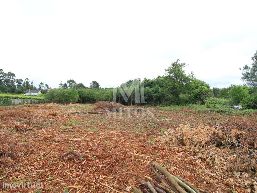 Terreno de construção - Neves, Vila de Punhe - Grande imagem: 2/7