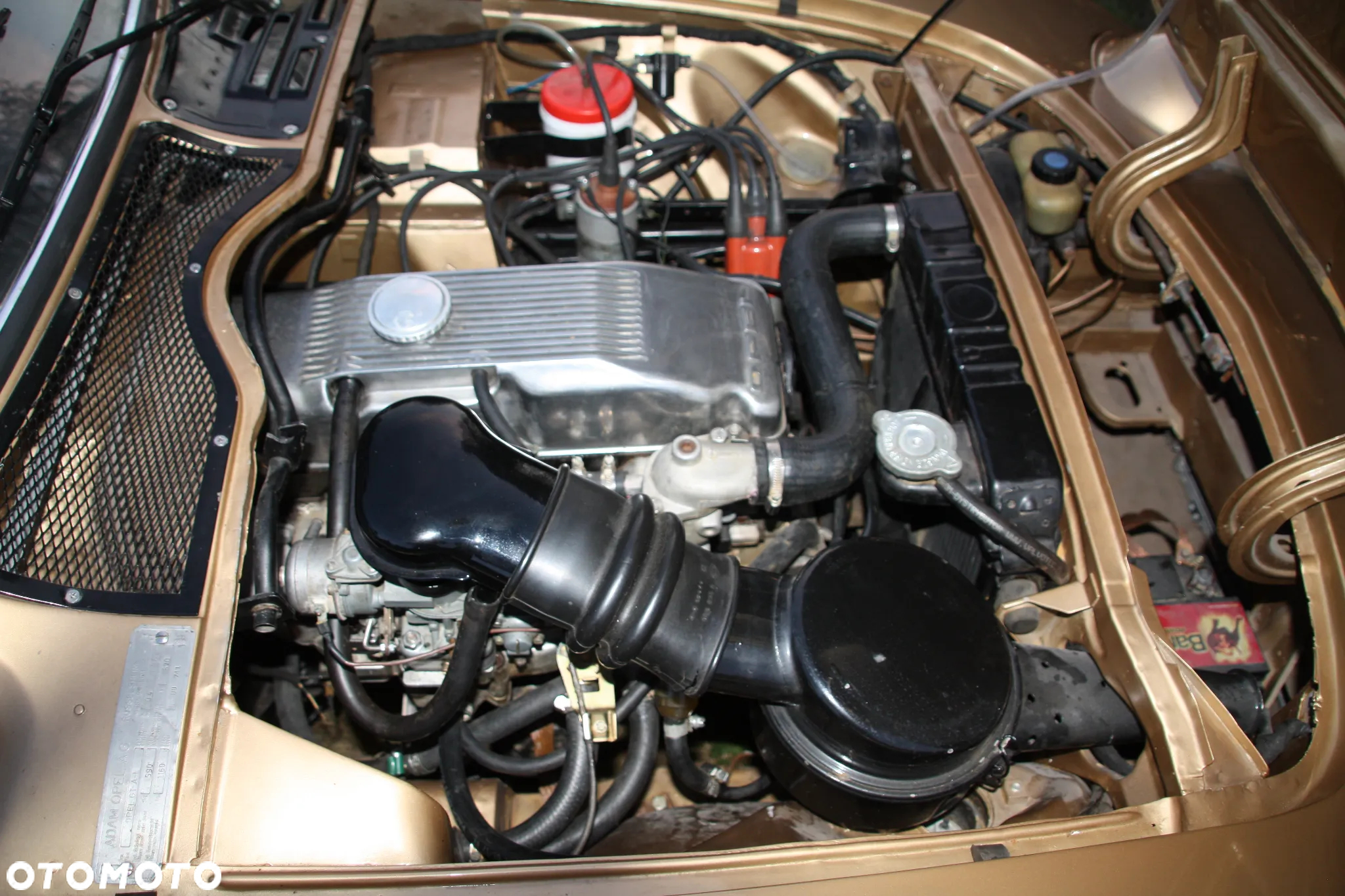 Opel GT - 8