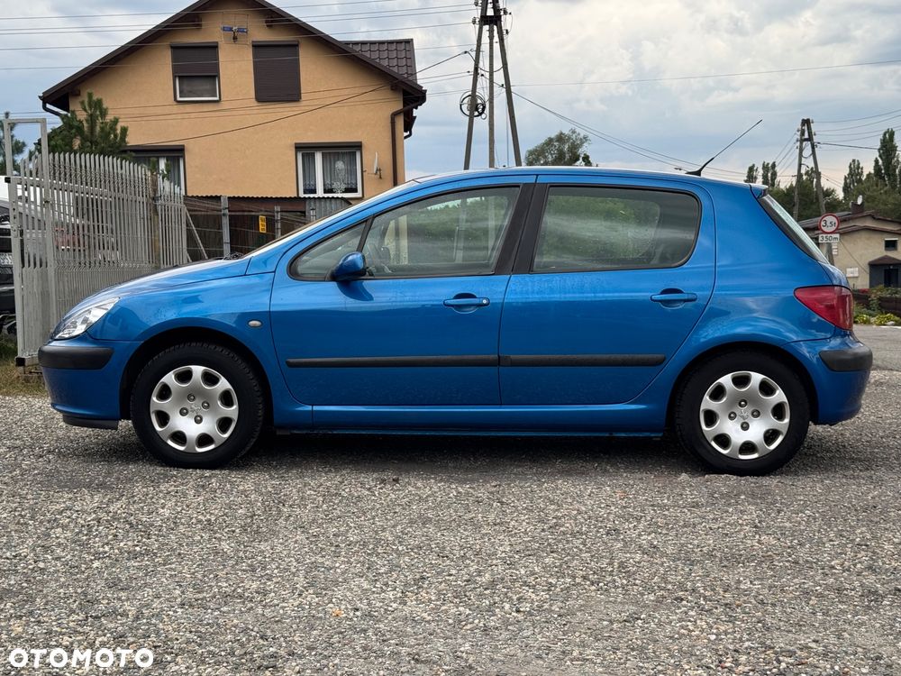 Peugeot 307 1.6 - 12