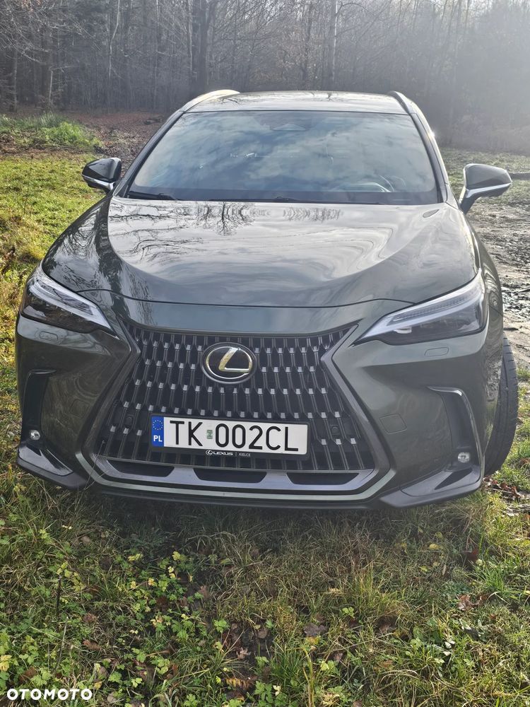 Lexus NX 450h+ Overtrail AWD - 1