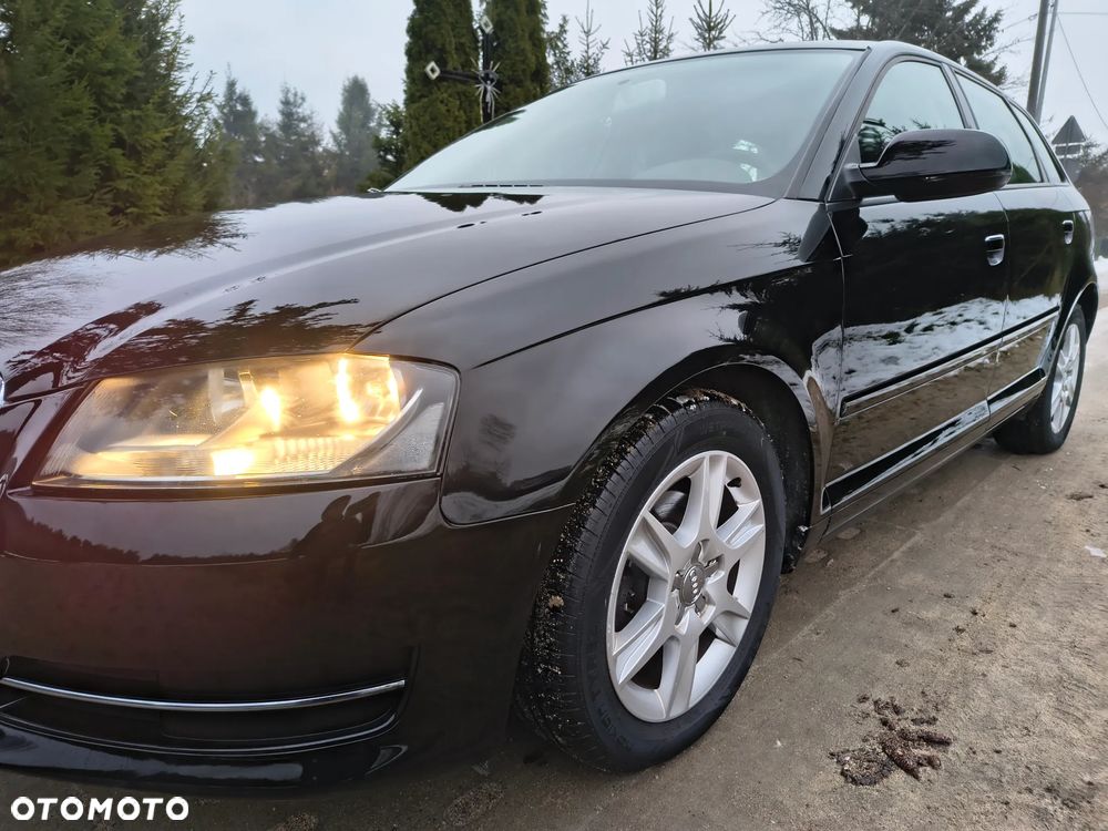 Audi A3 Sportback 1.6 TDI DPF Ambition - 16