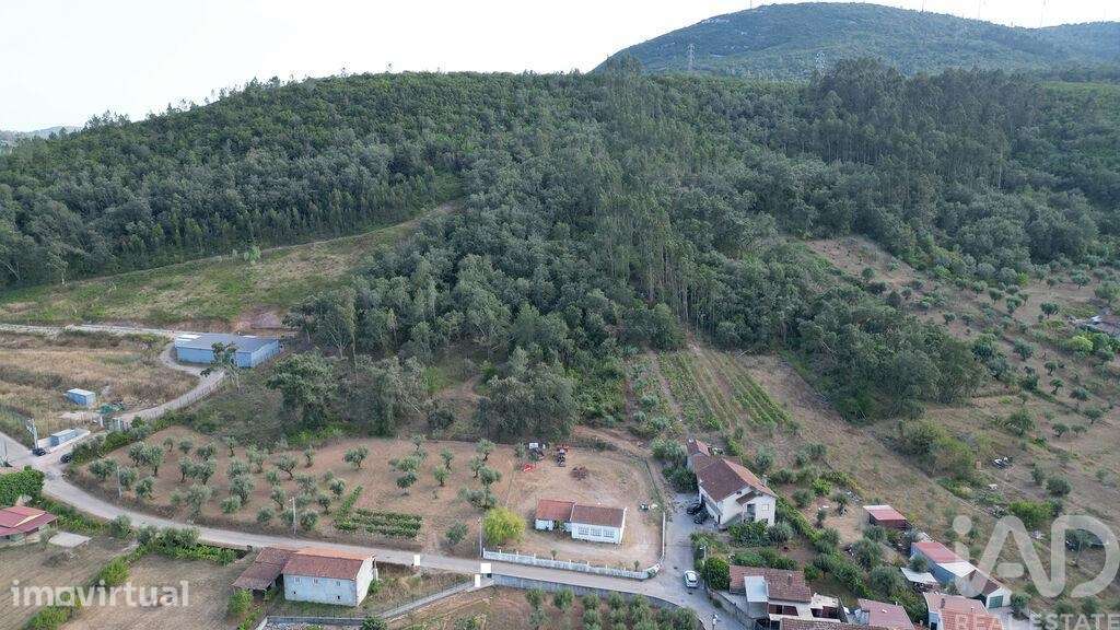 Terreno para construção em São Miguel, Santa Eufémia e Rabaçal - Grande imagem: 4/18