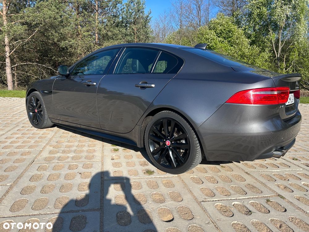 Jaguar XE - 14