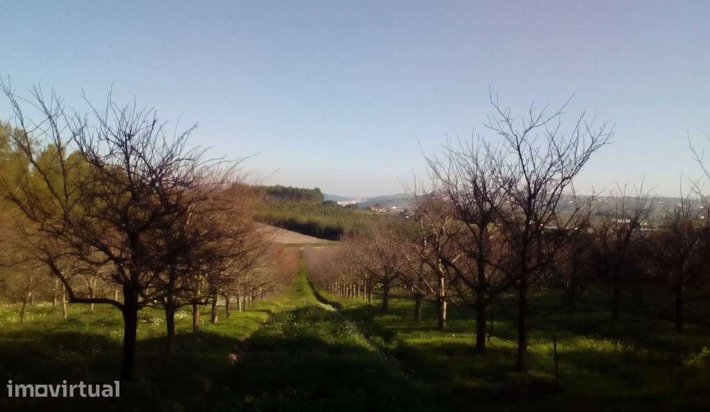 Terreno 22.680m² junto P. Industrial Ponte Rol,frente estrada–Oportuni - Grande imagem: 4/5