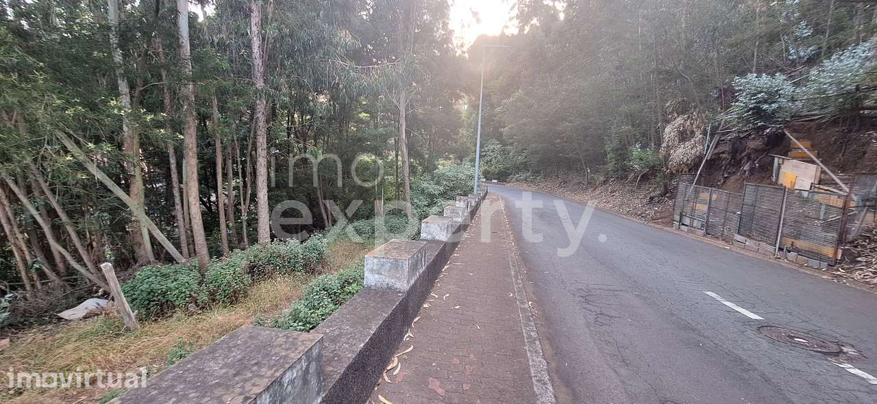 Terreno em Gaula com 2590m2, Madeira - Grande imagem: 4/18