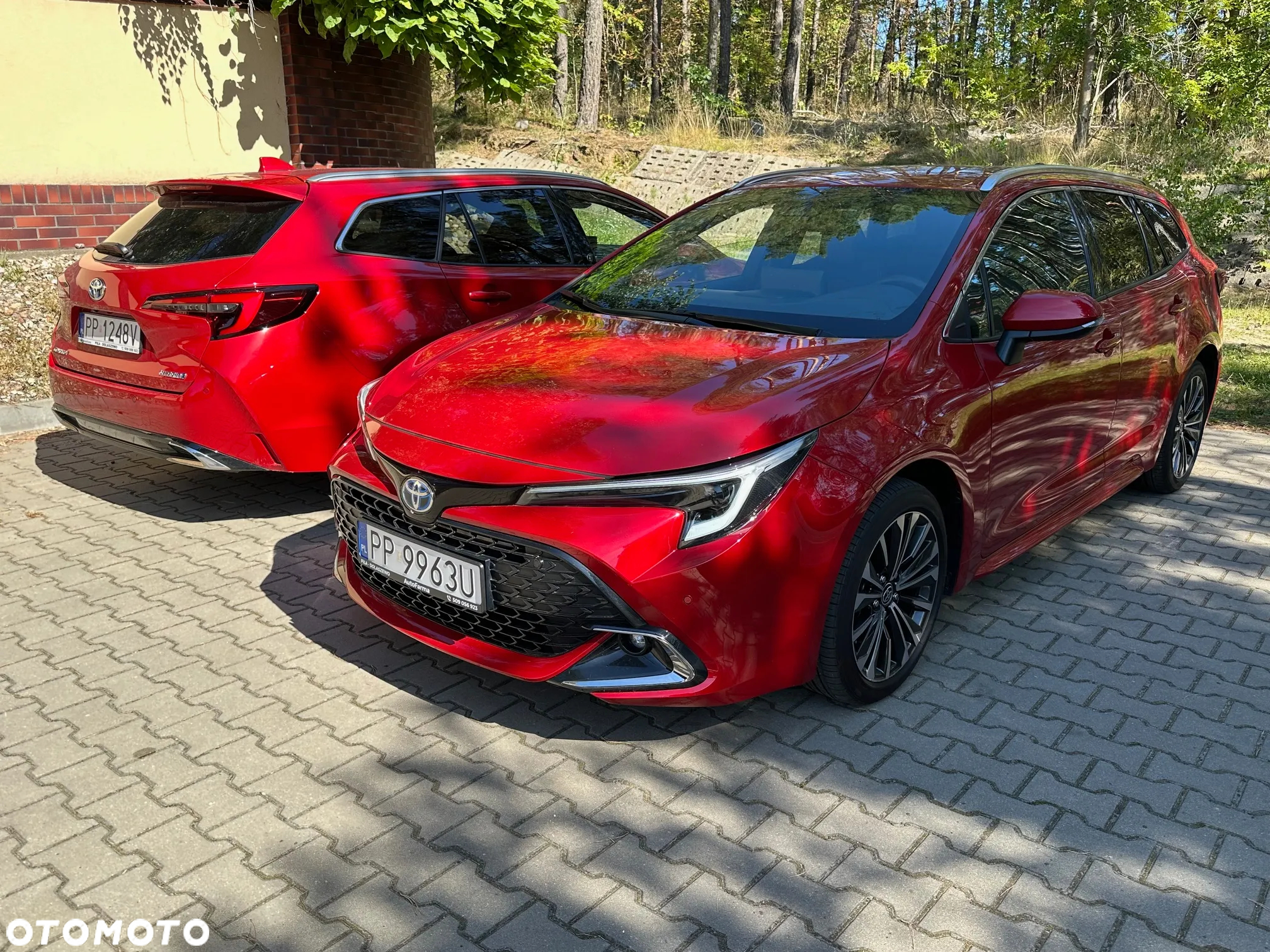 Toyota Corolla - 29