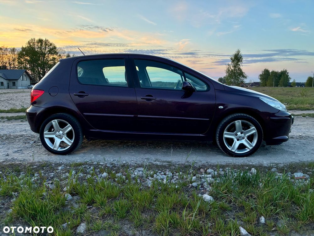 Peugeot 307 2.0 XT - 11