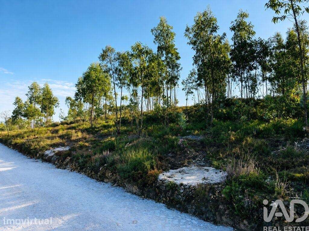 Terreno em Melres e Medas - Grande imagem: 4/10