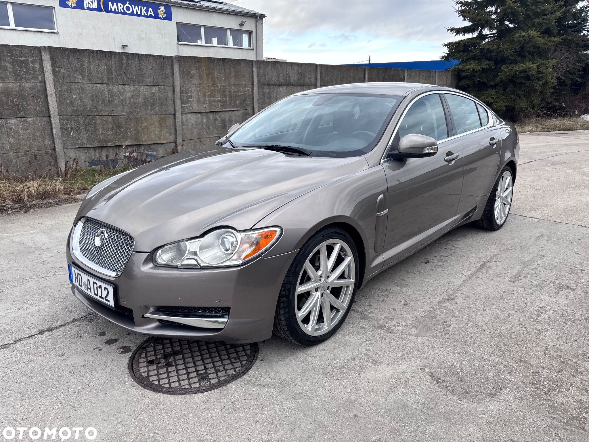 Jaguar XF 3.0 V6 D S Luxury - 9