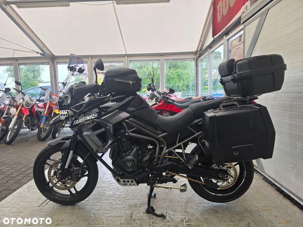 Triumph Tiger - 22