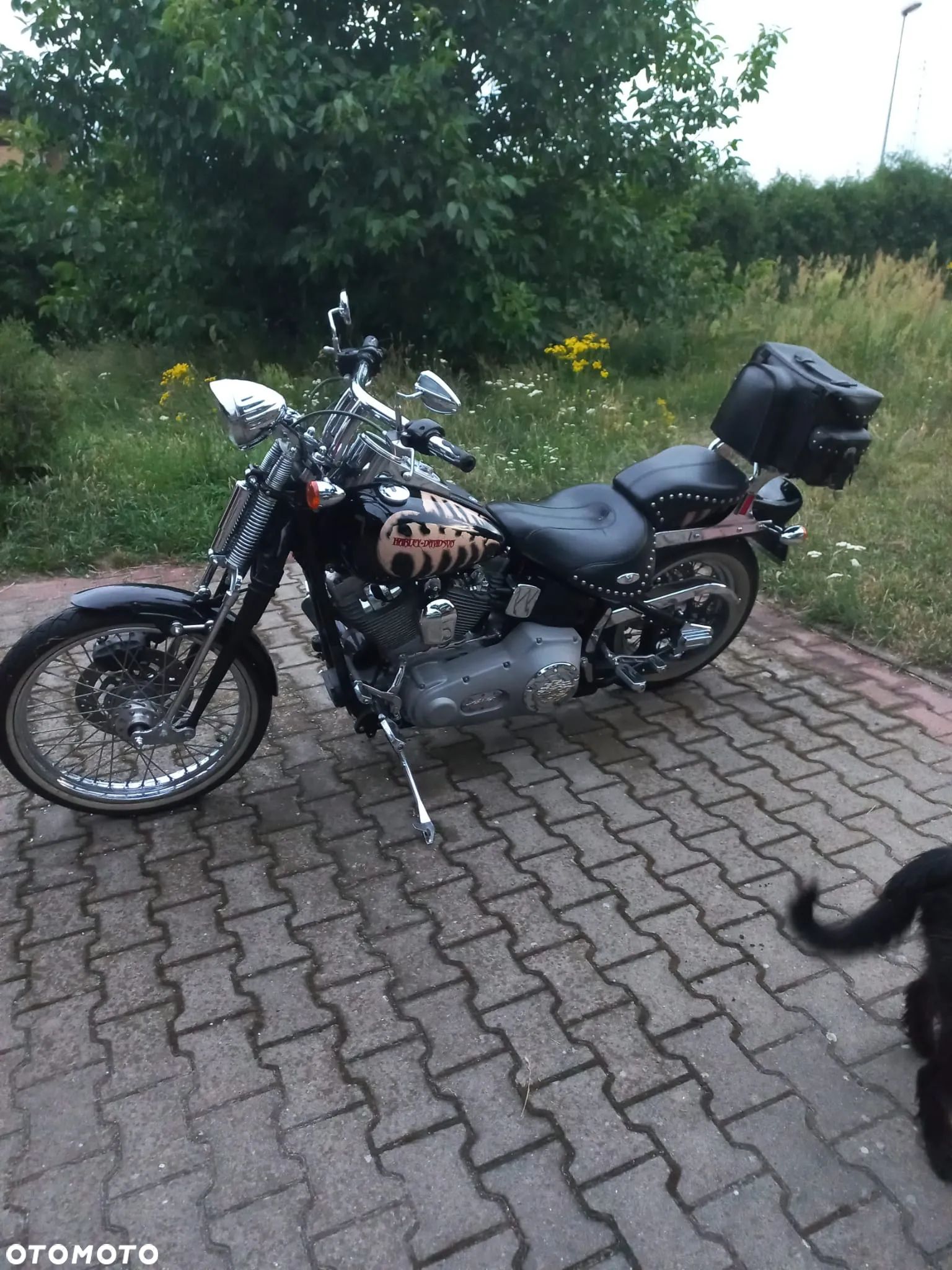 Harley-Davidson Softail - 1