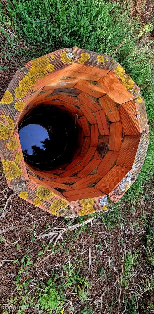 Apresento terreno com total de 5 520m2, localizado na Lapa, Cartaxo - Grande imagem: 2/19