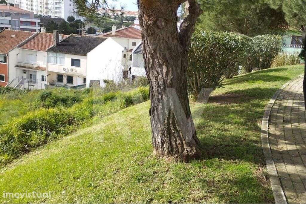 Venda de terreno para construção de lar, em Pedra Alta, Monte Estori - Grande imagem: 5/50
