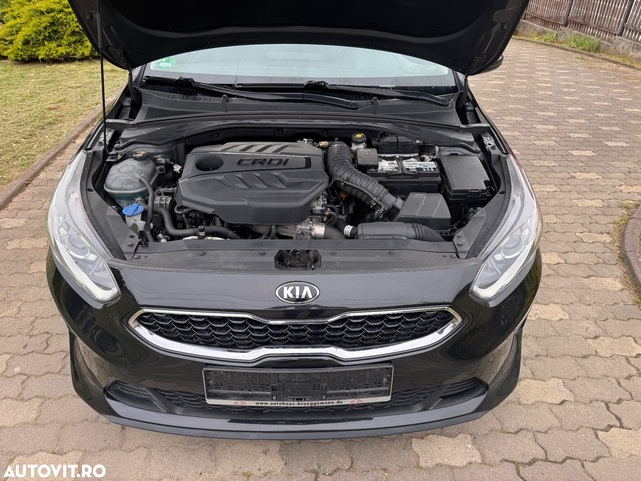 Kia Ceed 1.6 CRDi (48V Mild-Hybrid) DCT7 Vision - 21