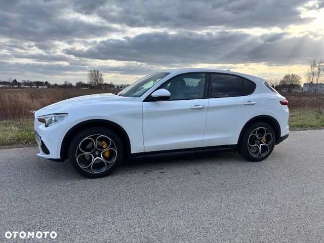 Alfa Romeo Stelvio 2.0 Turbo Executive Q4 - 1