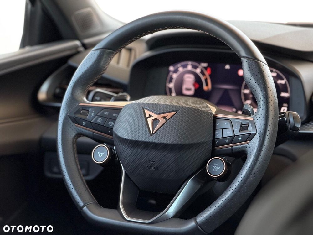 Cupra Terramar 2.0 TSI 4Drive DSG - 16