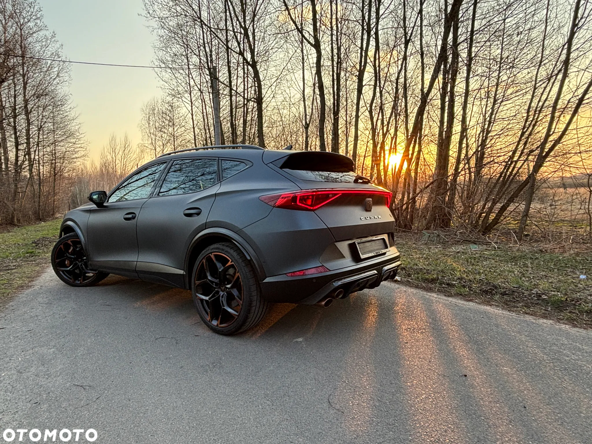 Cupra Formentor 2.5 TSI 4Drive VZ5 DSG - 18