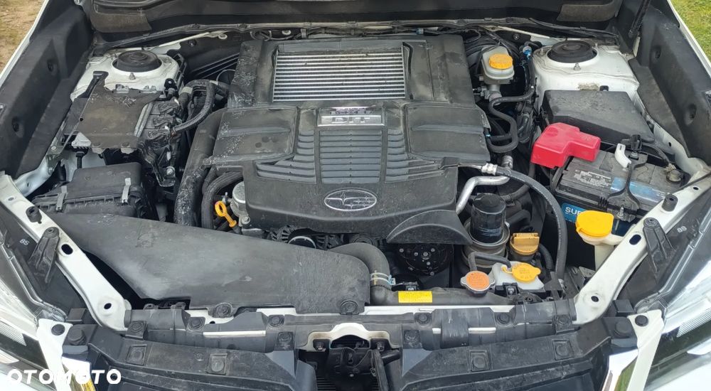 Subaru Forester - 19