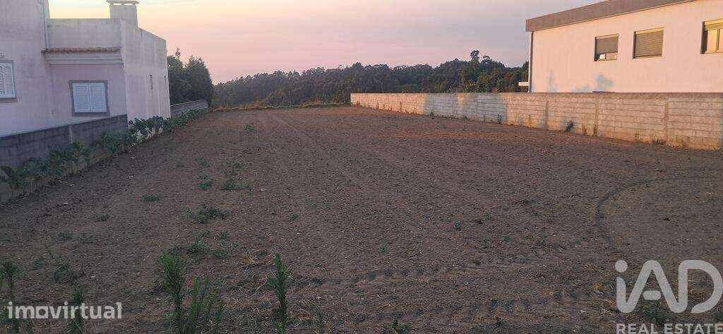 Terreno Agrícola em Ouca - Grande imagem: 2/2
