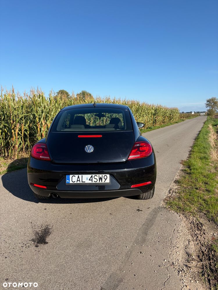 Volkswagen Beetle - 4