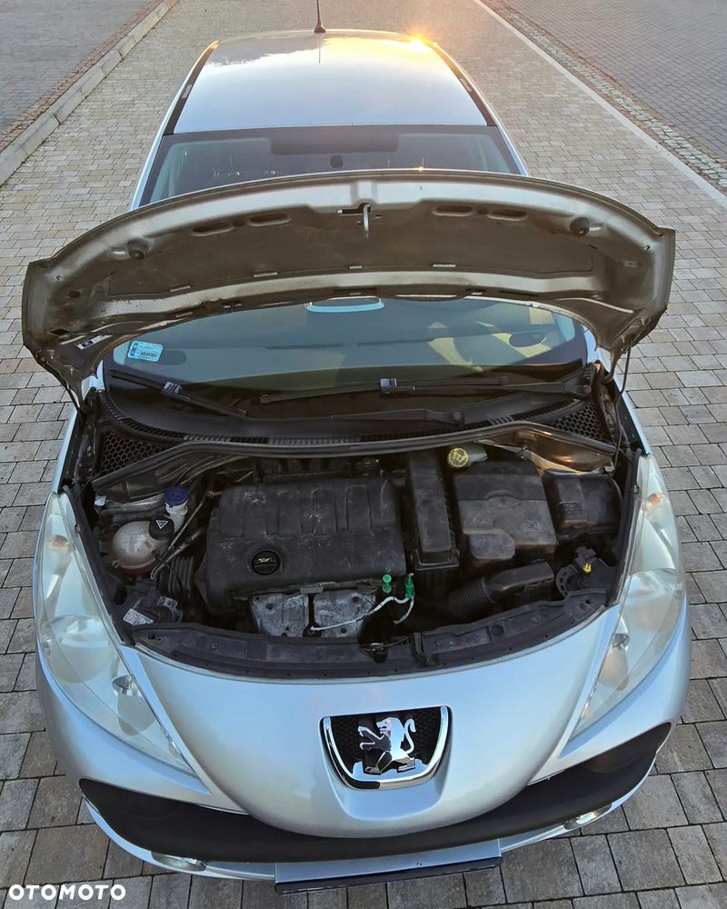 Peugeot 207 - 17