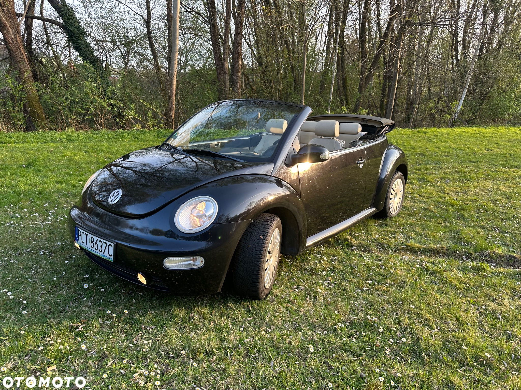 Volkswagen New Beetle 2.0 - 21