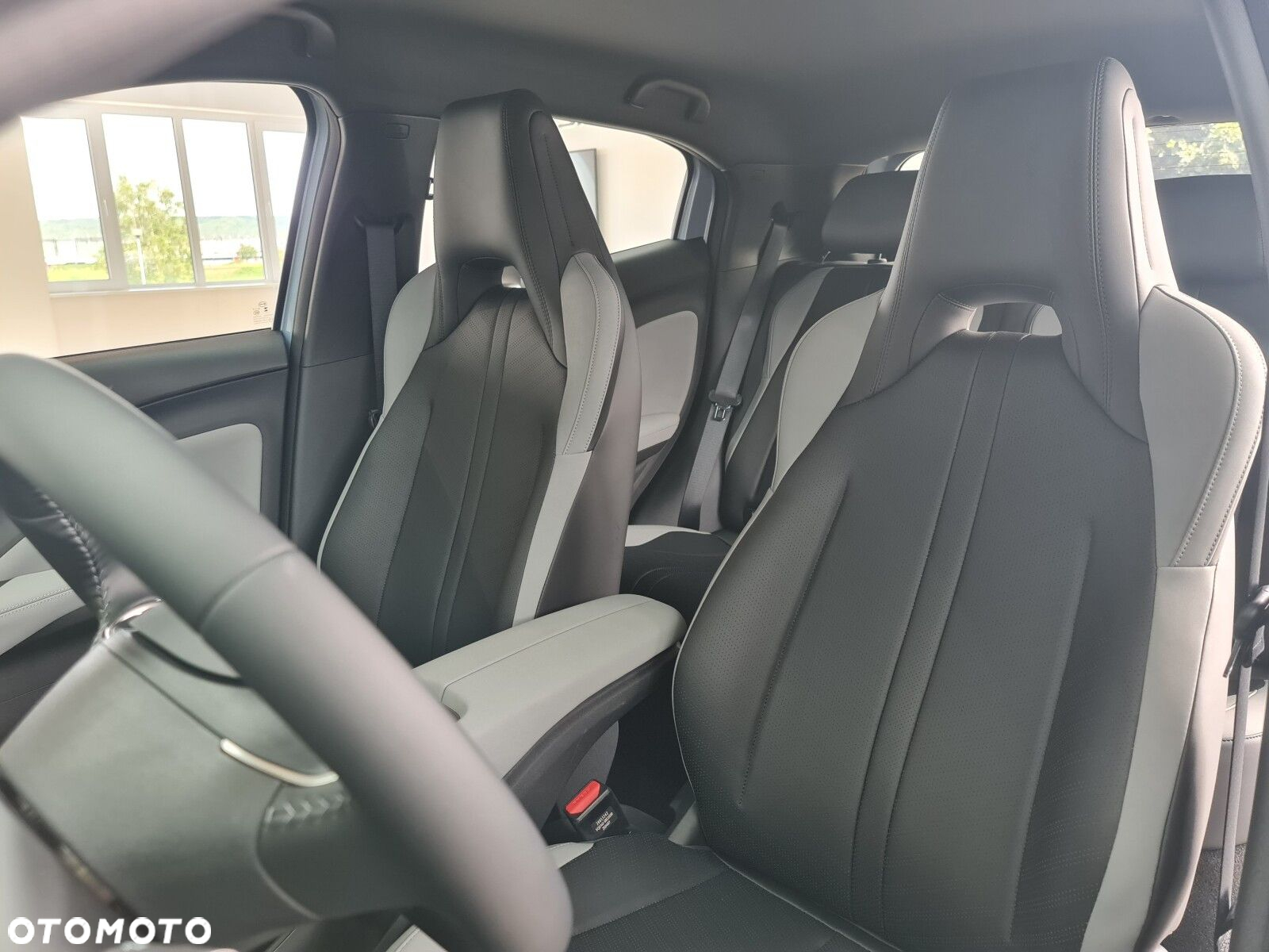 BYD Dolphin Surf - 21