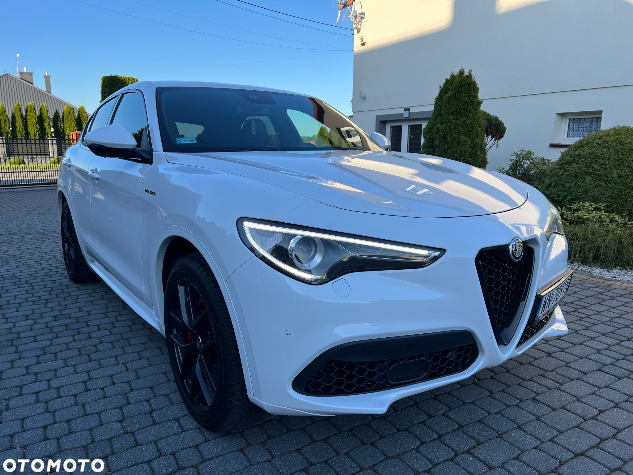 Alfa Romeo Stelvio 2.0 Turbo Veloce Q4 - 4