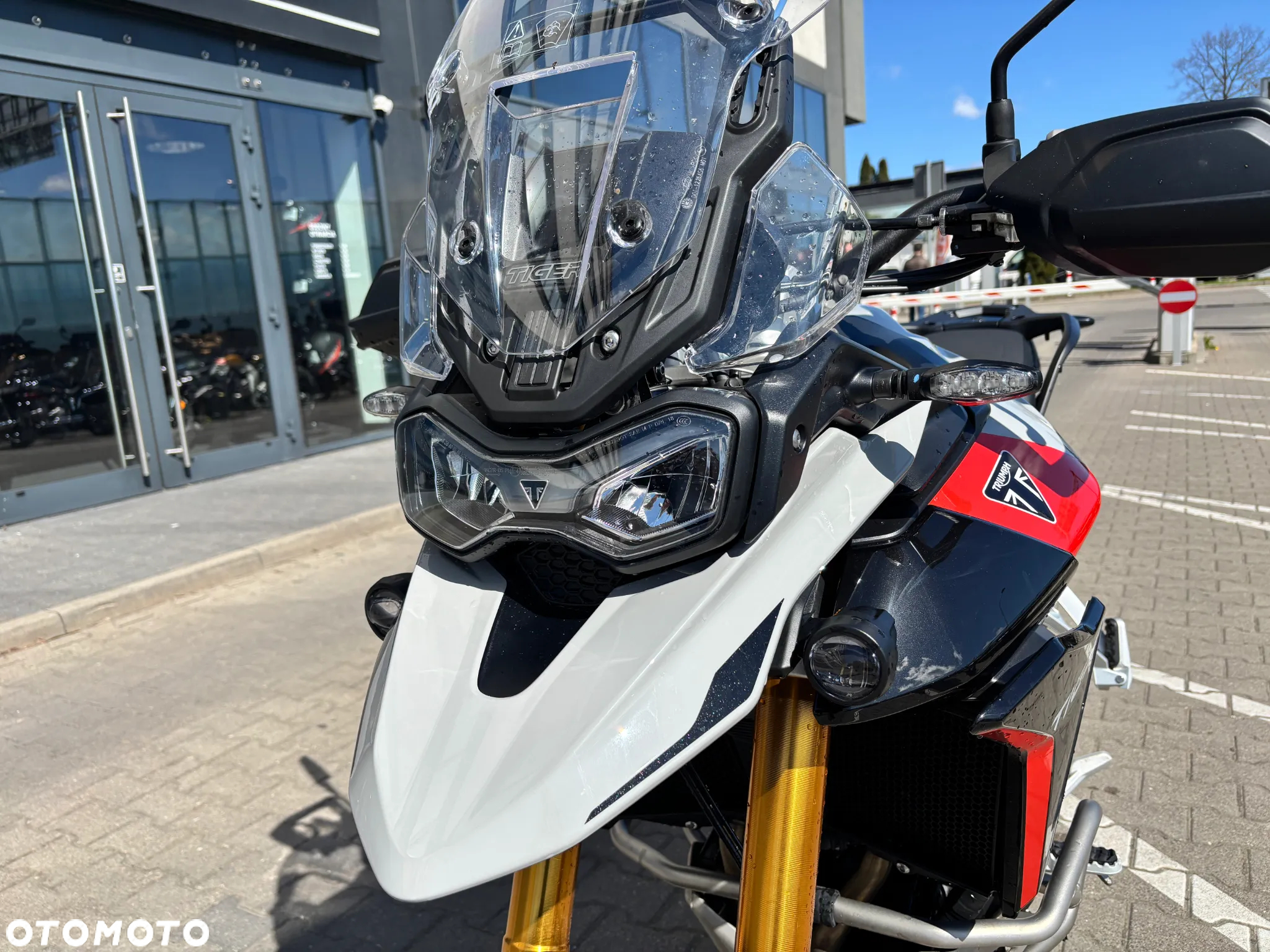 Triumph Tiger - 12