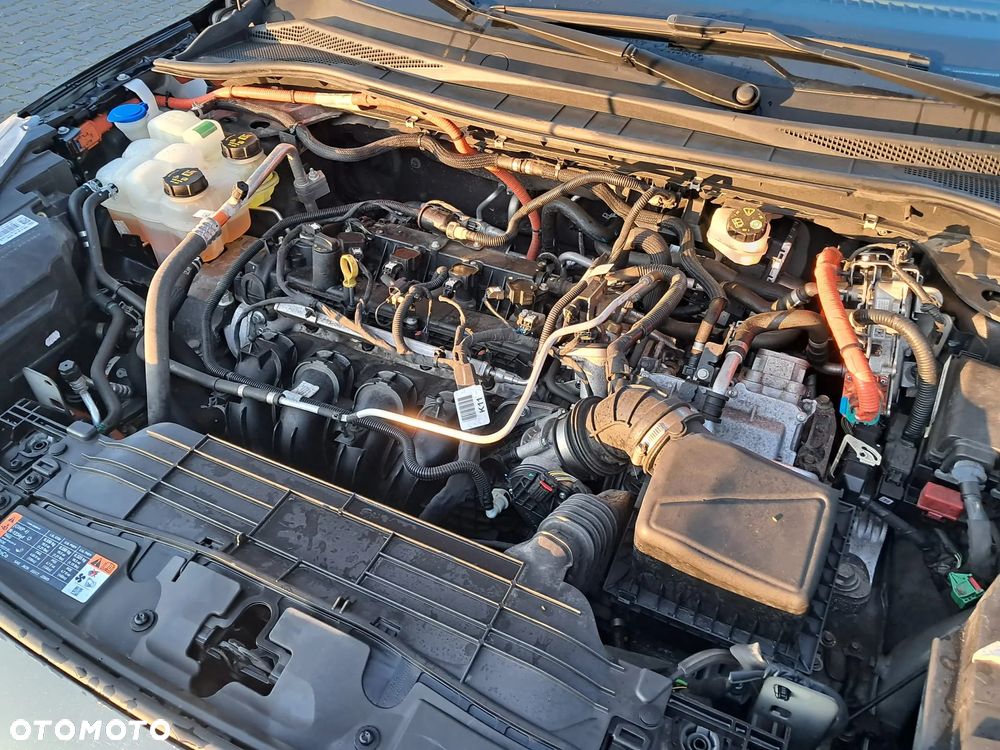 Ford Kuga 2.5 Duratec FHEV 4x4 ST-LINE - 20