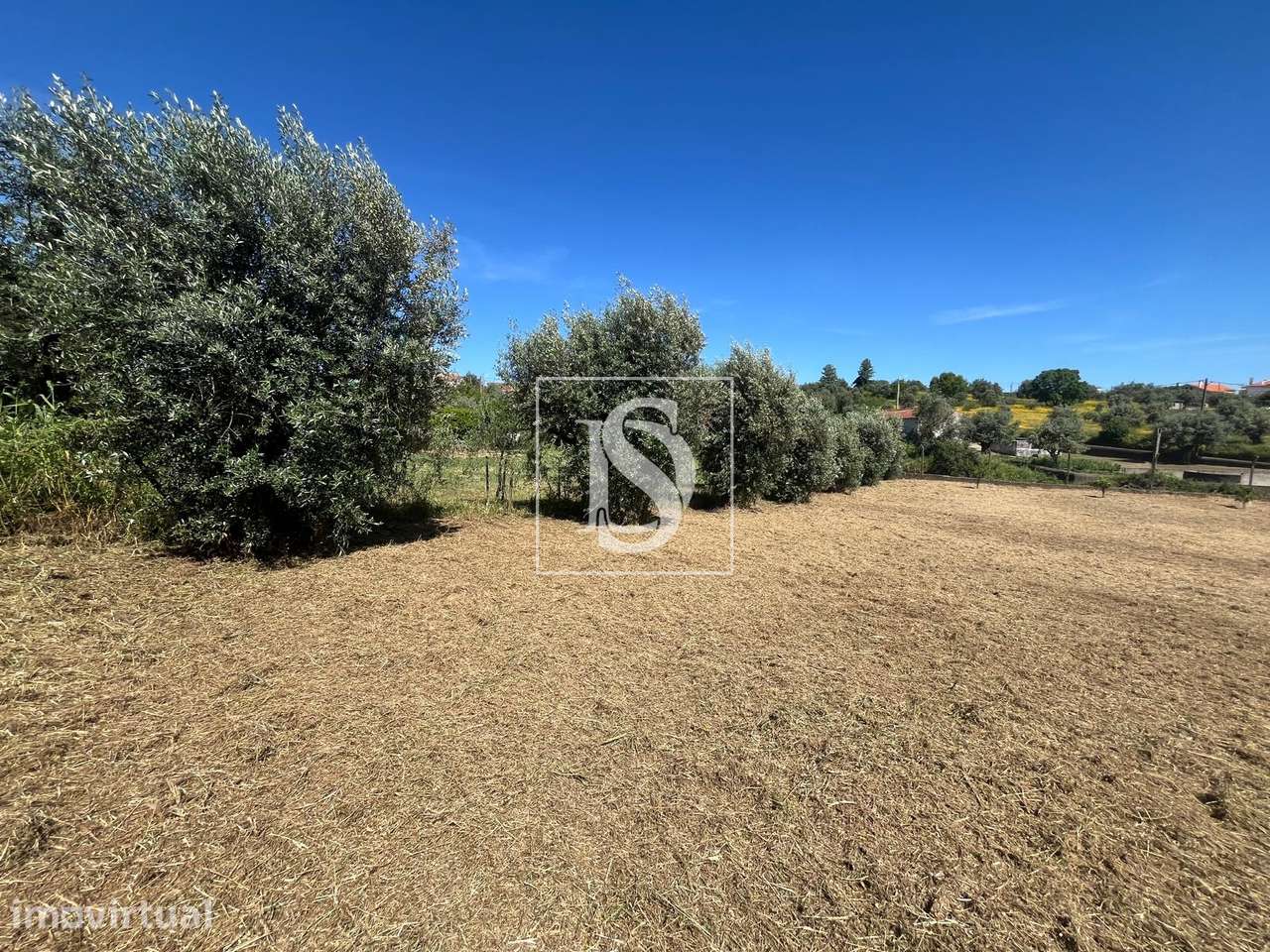 Terreno Com Ruina - Mouriscas - Abrantes - Grande imagem: 2/20