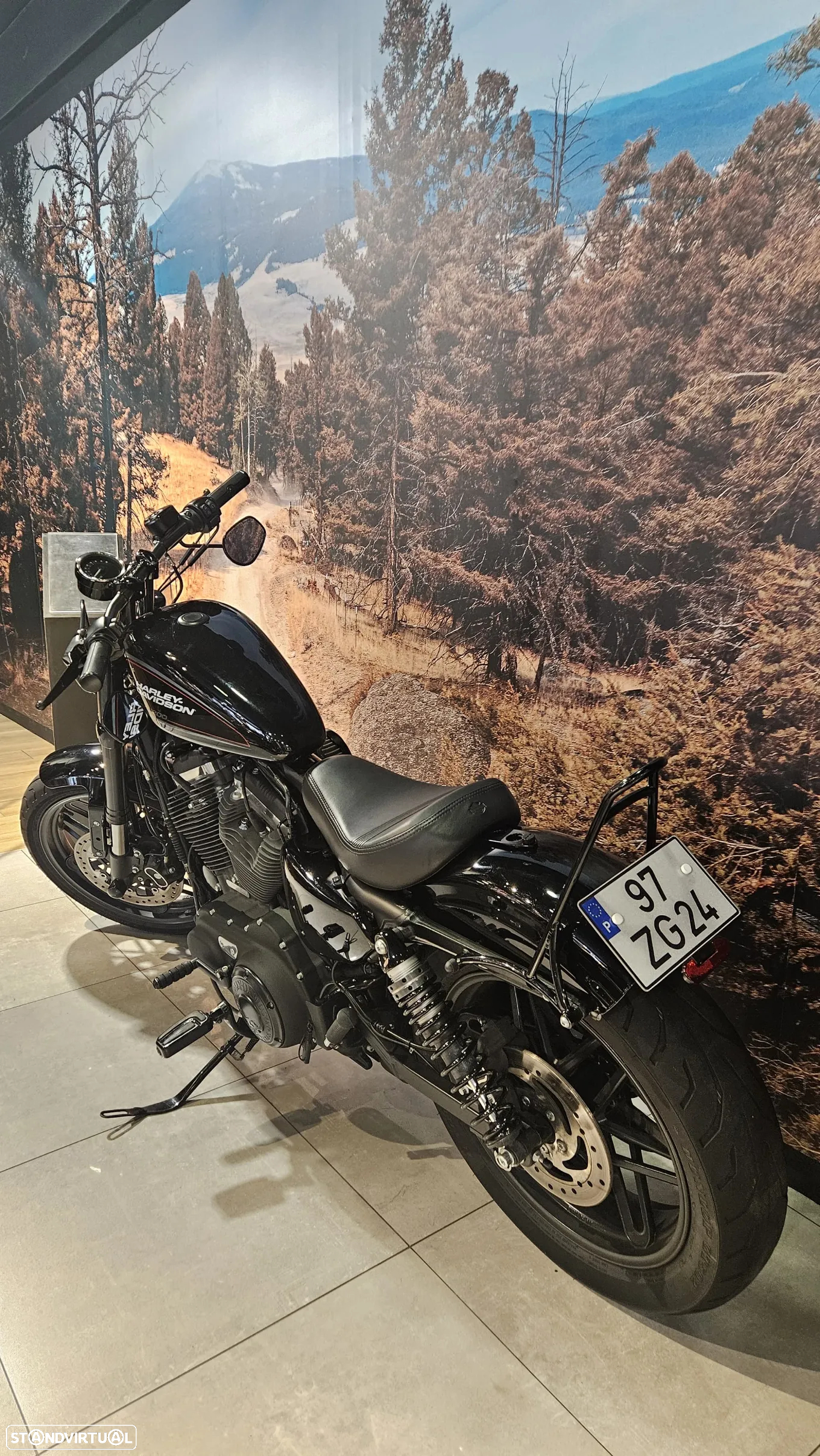 Harley-Davidson Sportster Roadster 1200 - 19