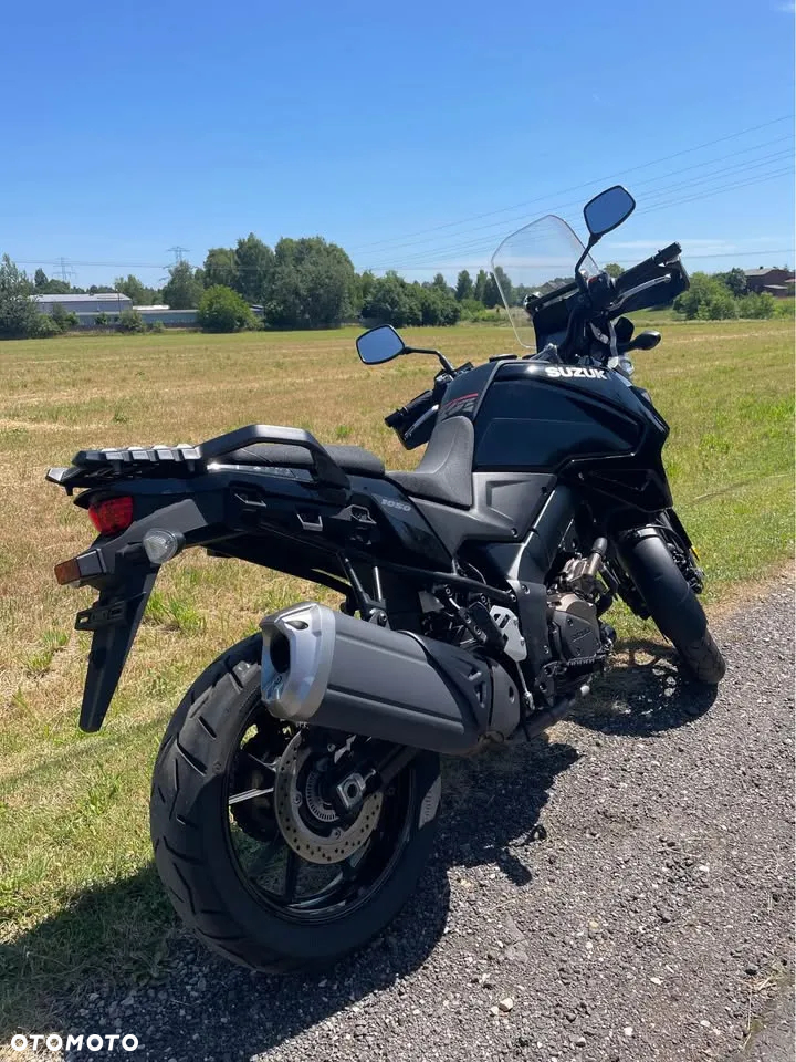 Suzuki DL