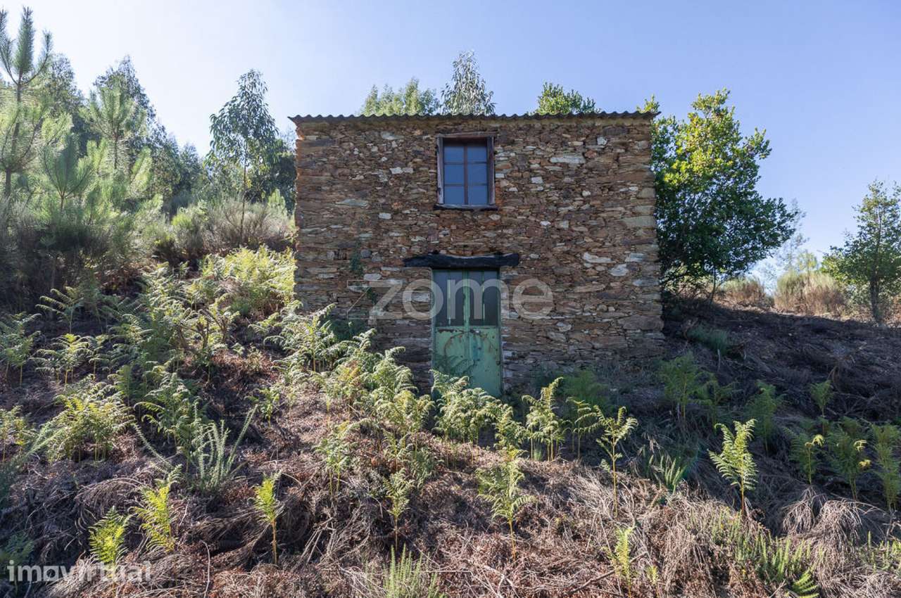 Terreno em Folques, Arganil - Grande imagem: 2/21