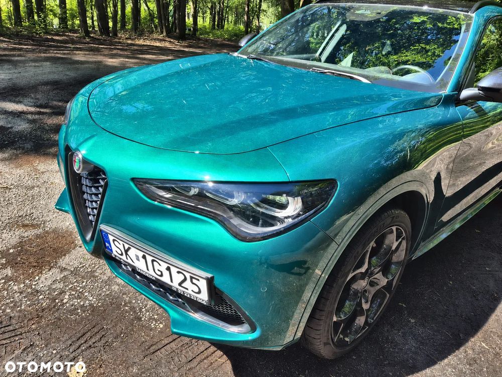 Alfa Romeo Stelvio 2.0 Turbo Tributo Italiano Q4 - 10