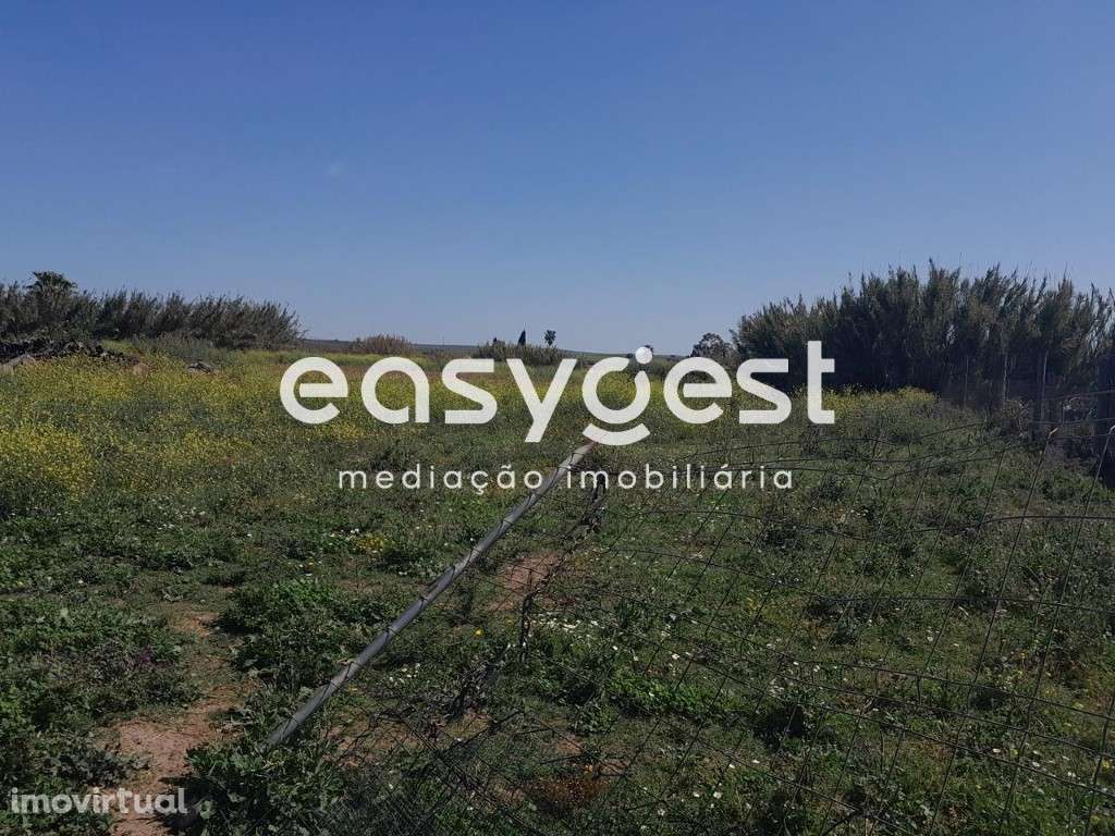Terreno em Beja com 20.000 m2, acesso pela Estrada Nacional - Grande imagem: 2/41