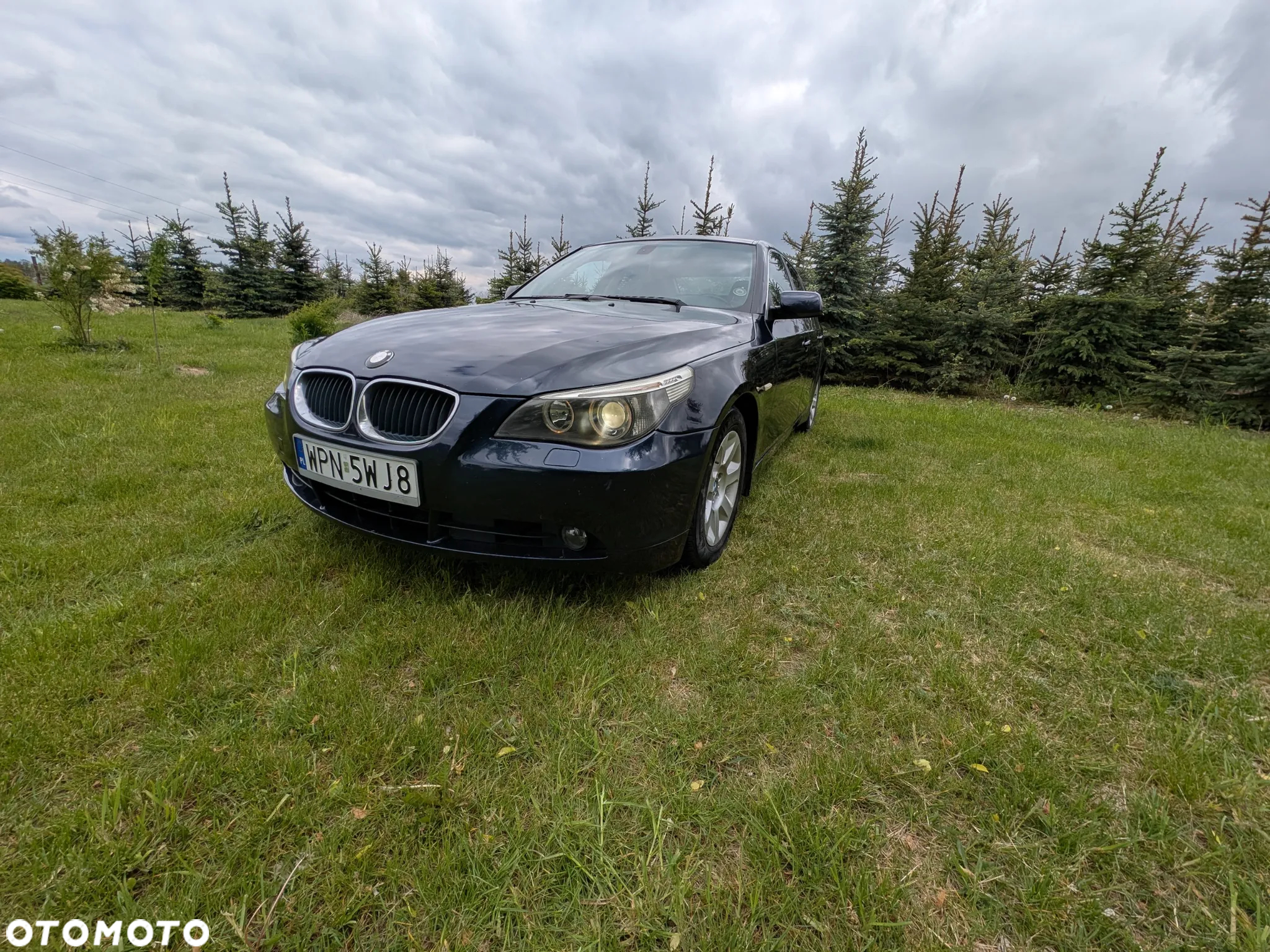 BMW Seria 5 530d - 10